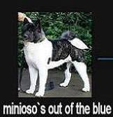 Minioso's Out Of The Blue