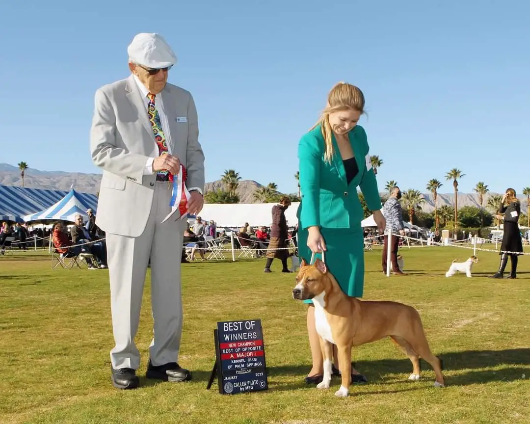 AKC CH, Rus CH, Rus JCH Angel Falls Magnolia Fire Dance