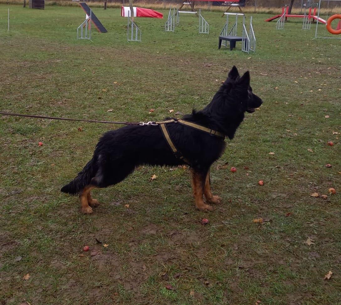 SLAME DE L'ETANG DE FREVILLE