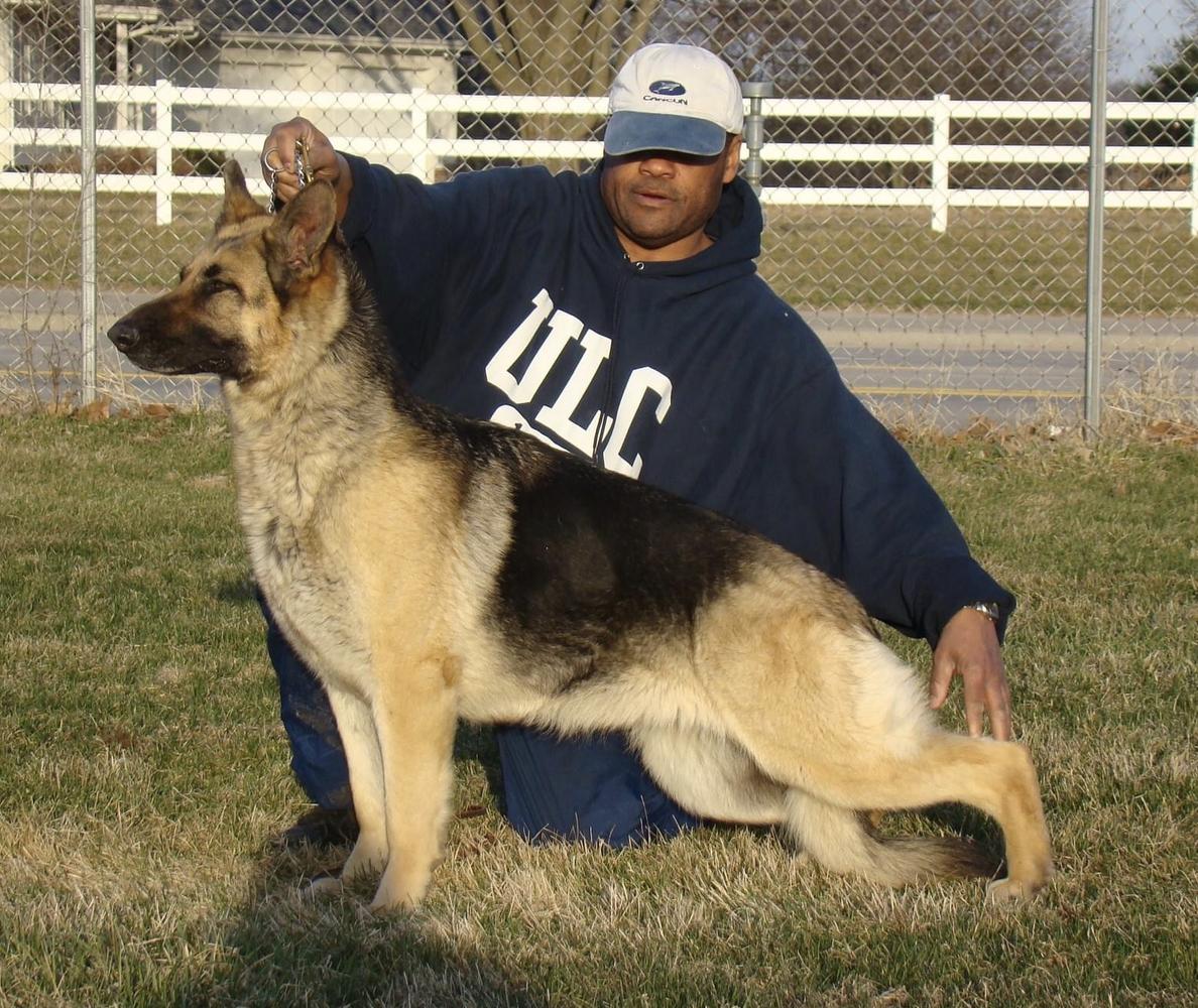 Tonor's Princess Jasmine