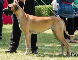 Dalia Z Bialoleki Dworskiej