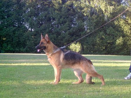 V Xami vom Haus Zieglmayer