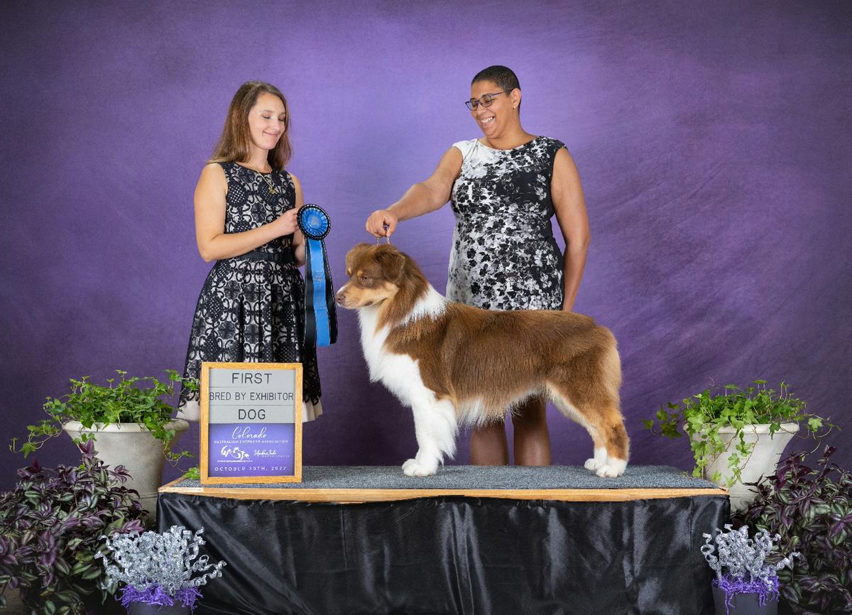 AKC/ASCA CH Crystalbrook Price of Freedom 4Catalina