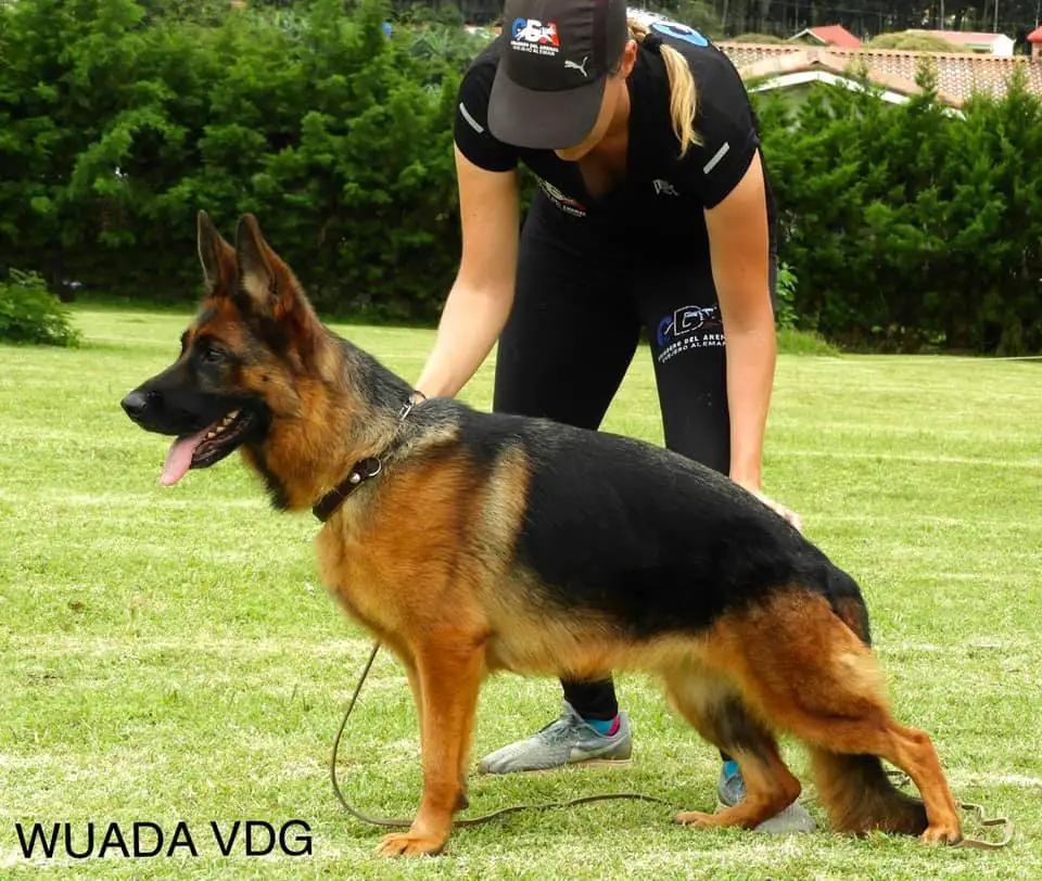 Wuada Von Del Greck