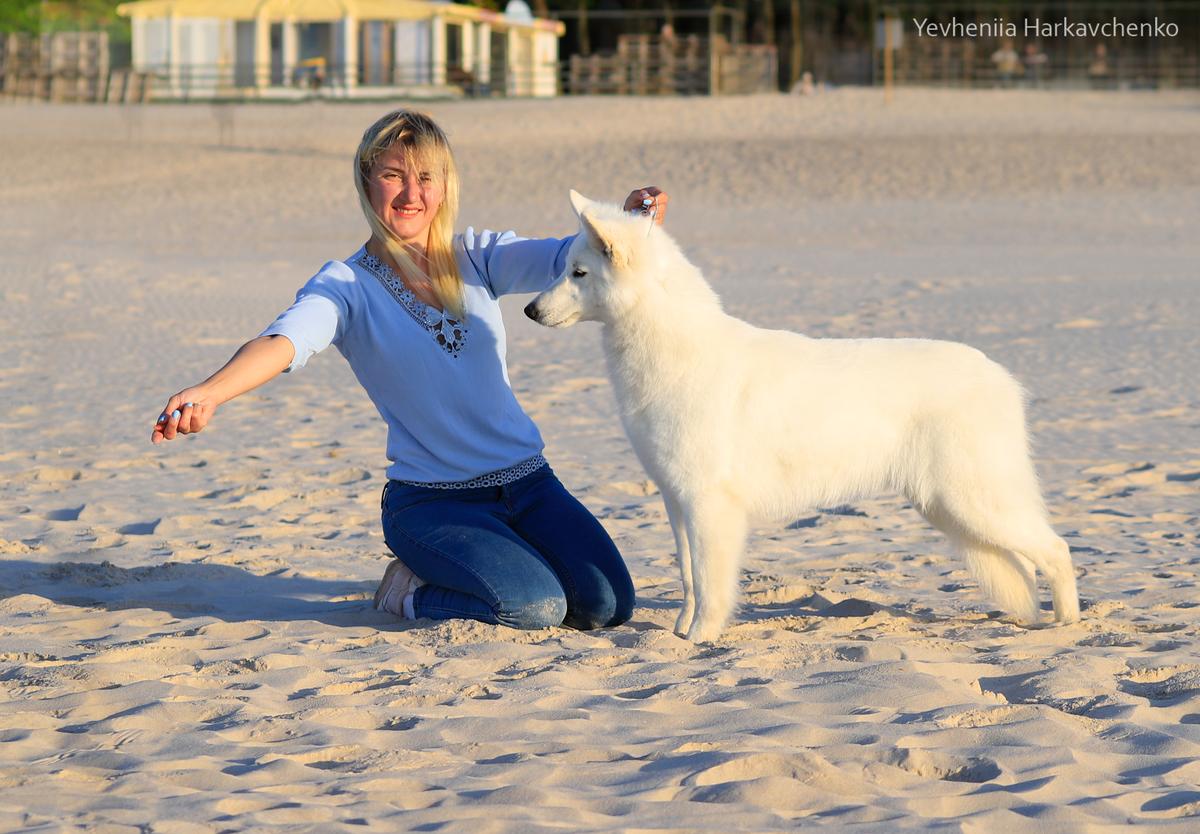 Poland Winner '23, Junior Club Winner '22, ChPl, JChPl, BOB Valentine Present of the Dutch Highlands