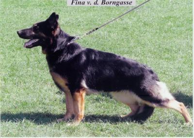 SG Fina von der Borngasse