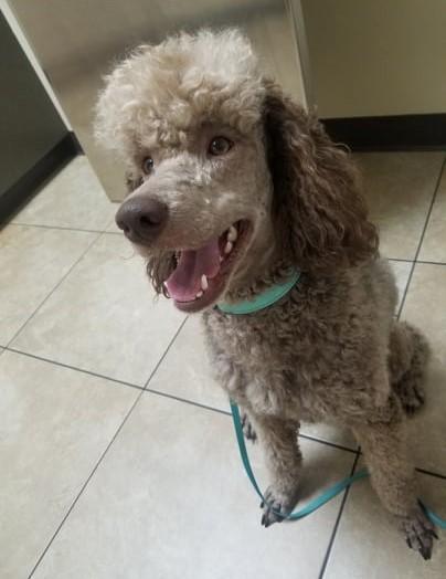 He's My Prince Charming