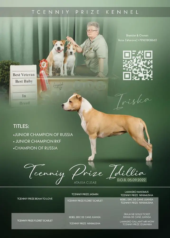 BISBaby,RBIS Baby,JCh.Rus,RKF, 2BIG,Ch.Rus, RKF, BIS-3, CChC Tcenniy Prize Idillia