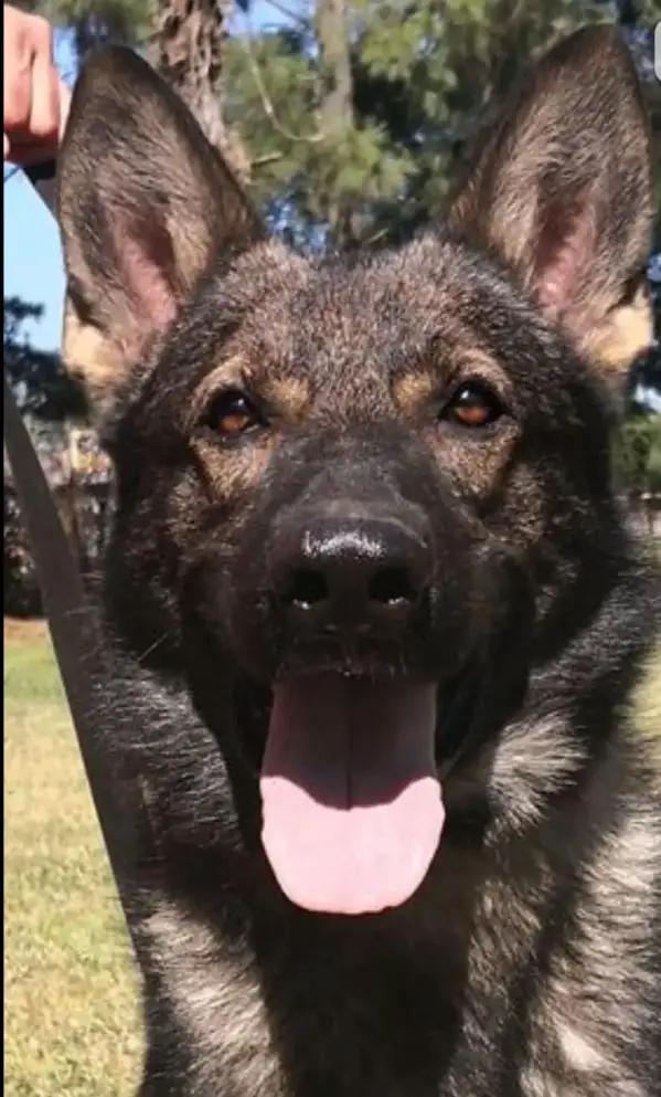 Rondo del Camino Duro