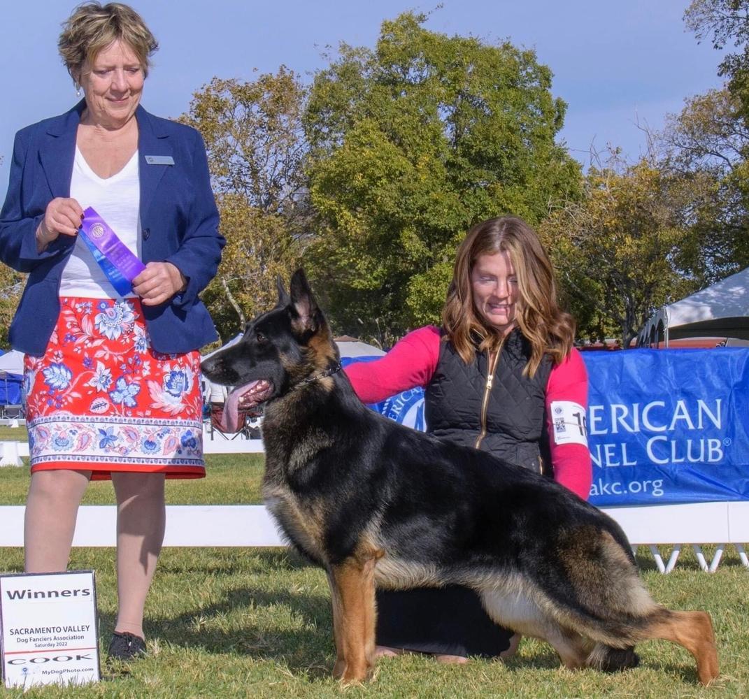 CH. Woodside Lexington