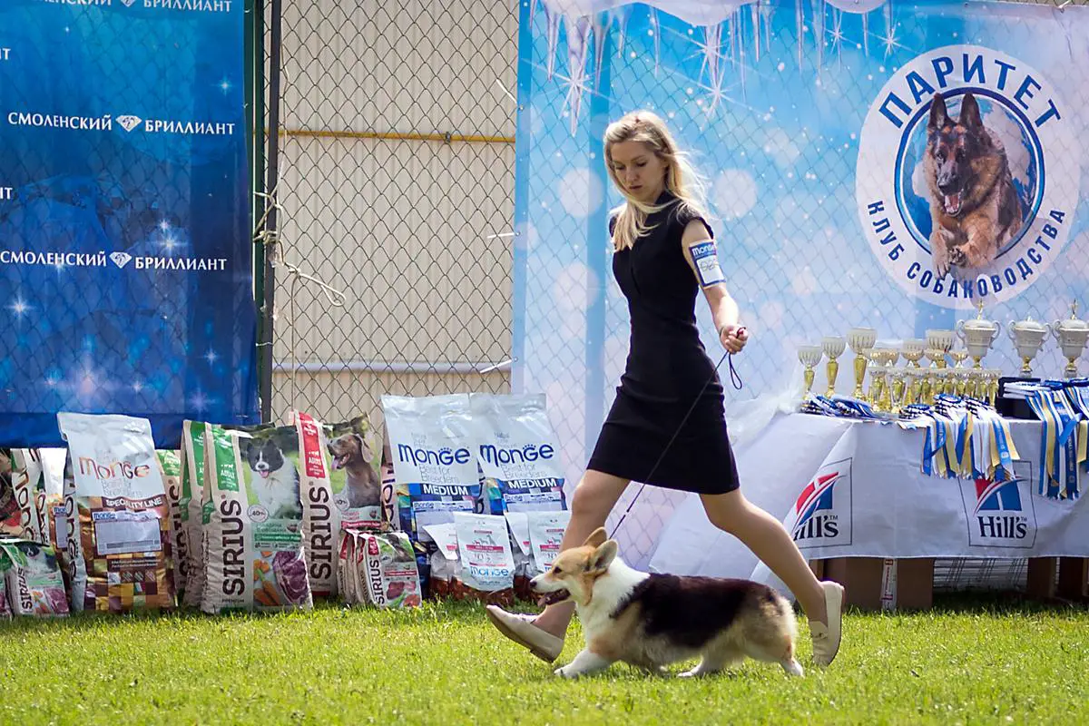 OCHI CHERNYE z PIASCHOTNAI ZORKI