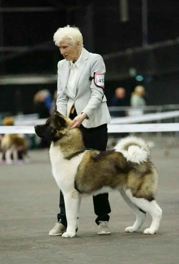 Melodor Grand Prix Glen