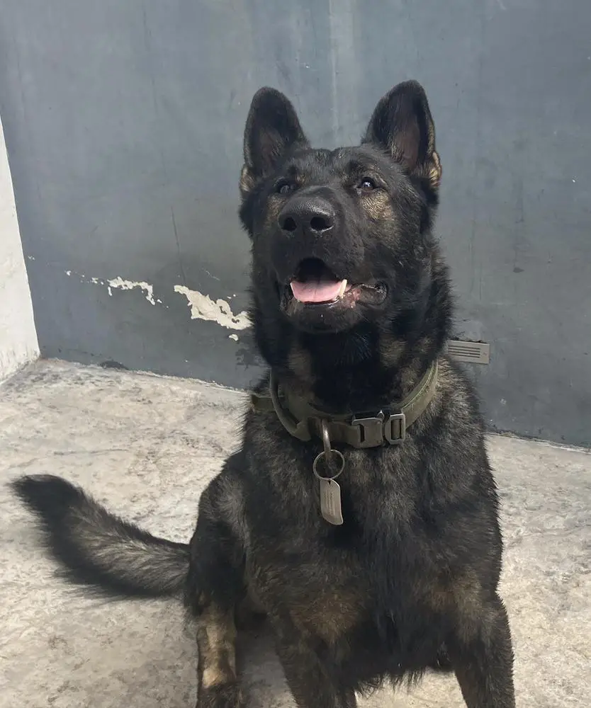 Cooper Od LK9 Slovensko