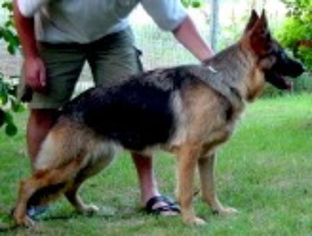 Zana von Melanchthon