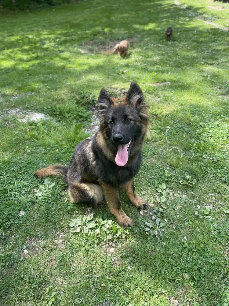 Geza Von Derqueencalibras House