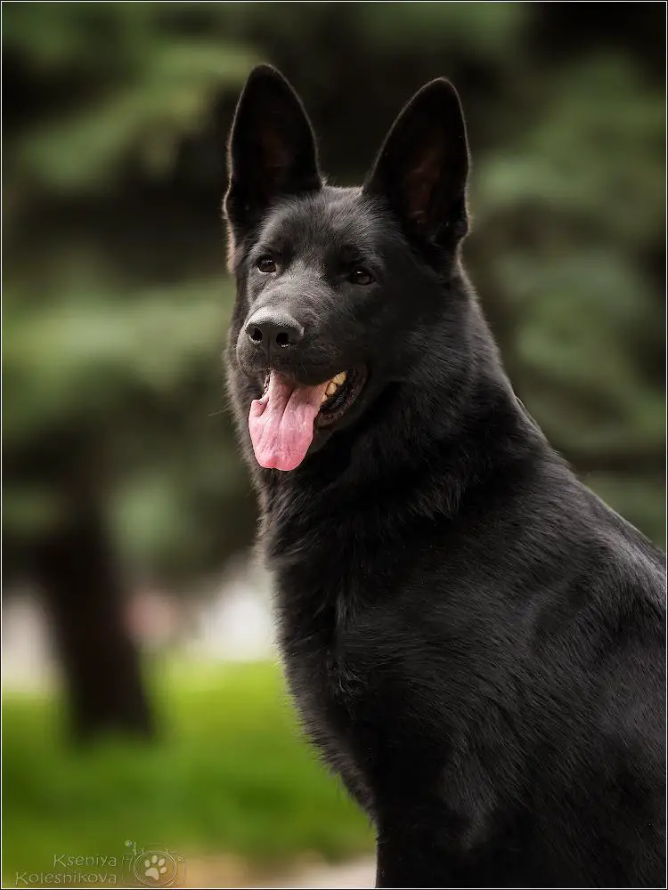 Margrit fom Kraft Rudel