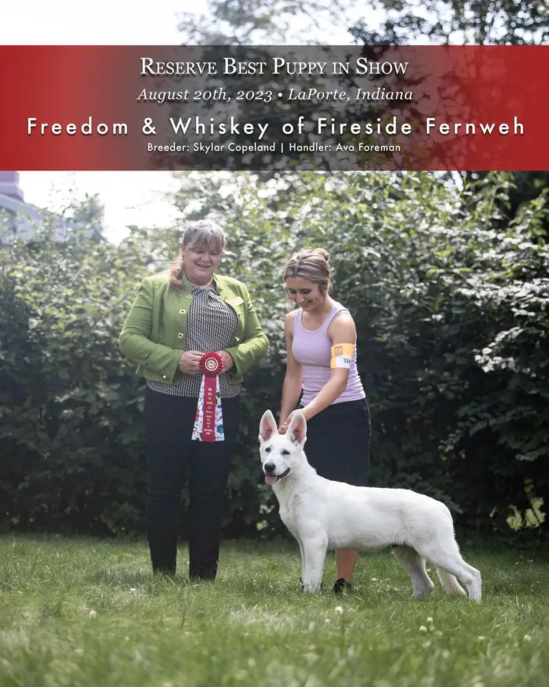 RBPIS Freedom & Whiskey of Fireside Fernweh