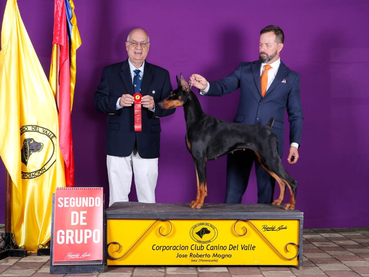 JCo. Dumont's Alice Black D'Dogren