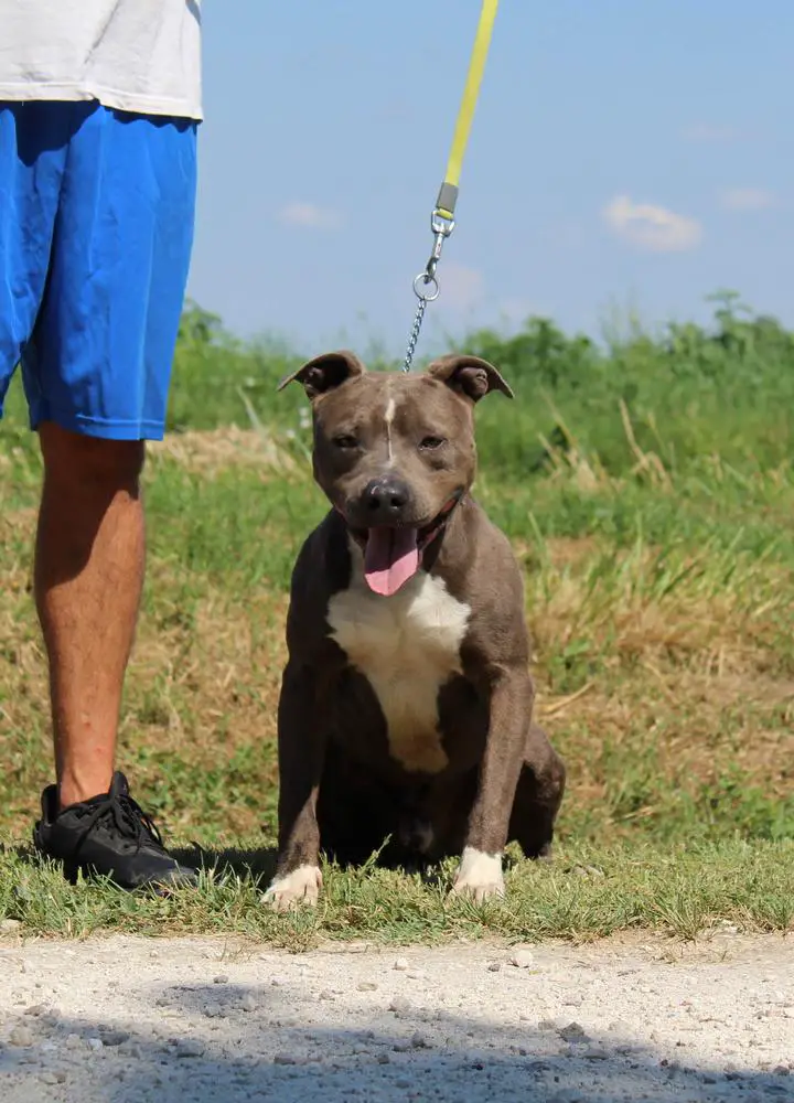 Contra Legem Aegon Targaryen