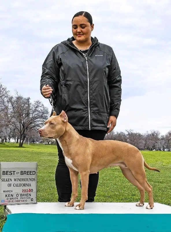 BPIS URO1 PN NI NE UWPCH DASH CA IntCH GRCH 'PR' Bartin's California Roulette