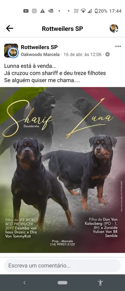 Lunna Don Special Rott