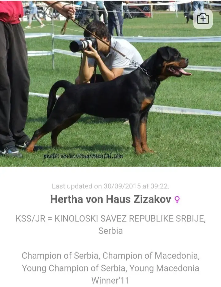 Hertha von Hause Zizakov