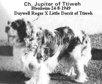 UK CH 1951 JUPITER OF TTIWEH