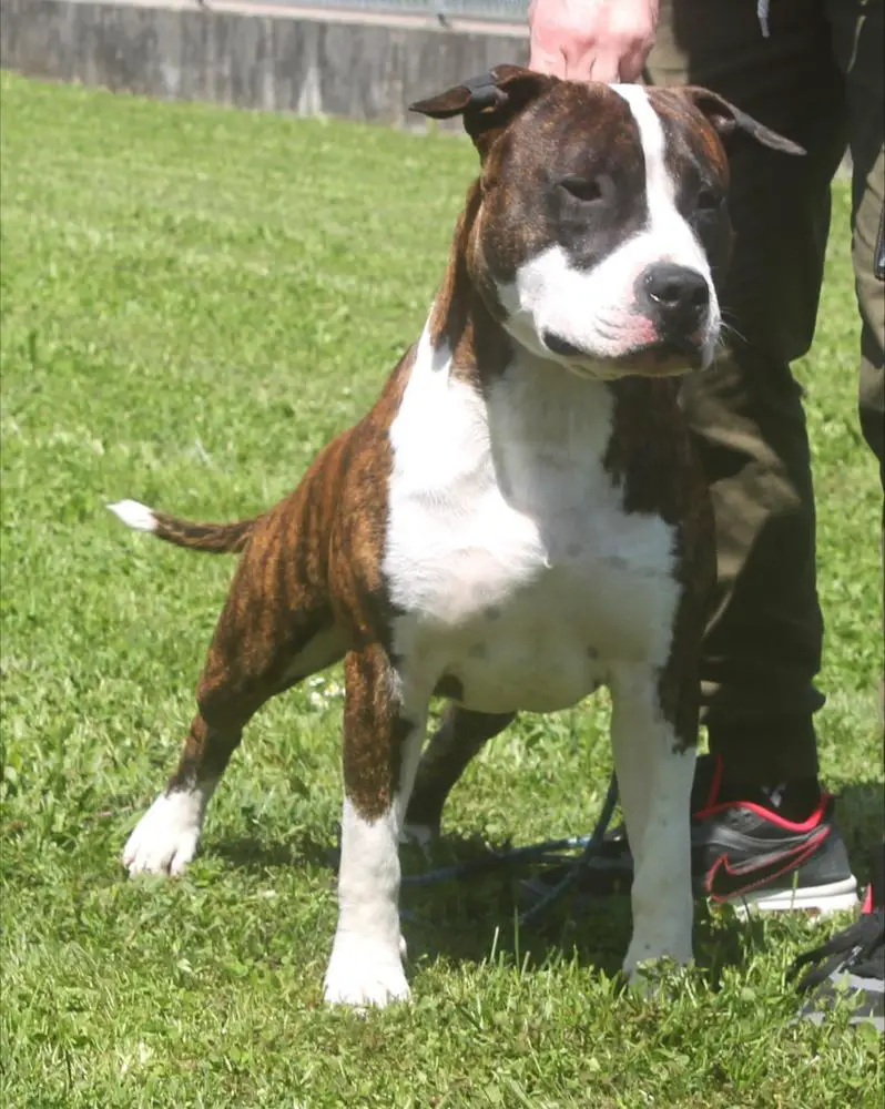 Moon Rock Landi's Stormy Sky