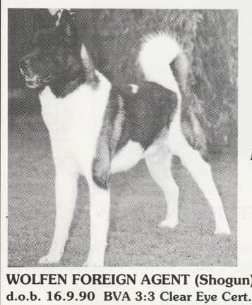 Wolfen Foreign Agent