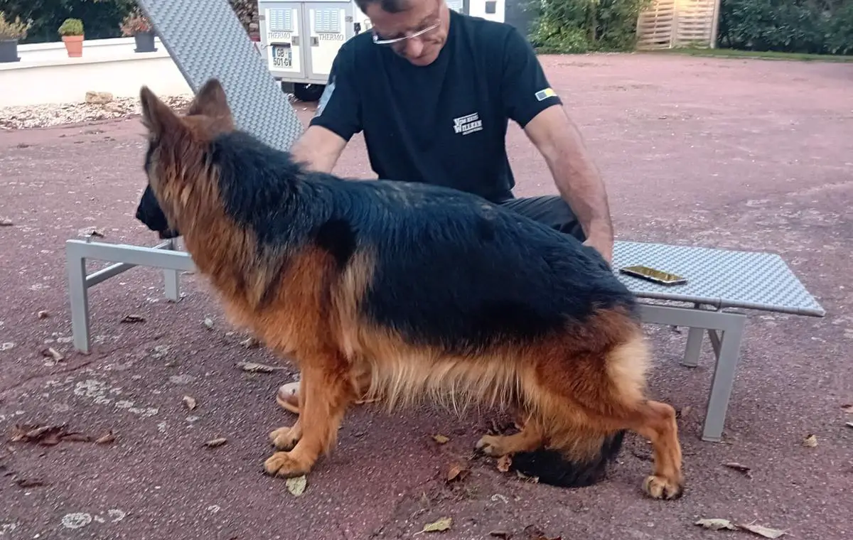 Talya de la Seigneuriale