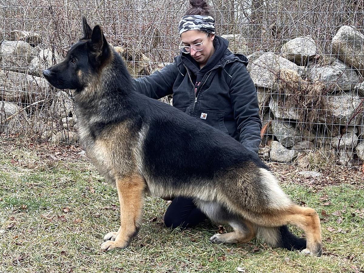 CH She-Rock’s Speak Of The Devil