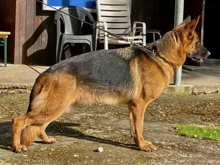 V Zara vom Napte-Emmer-Eck