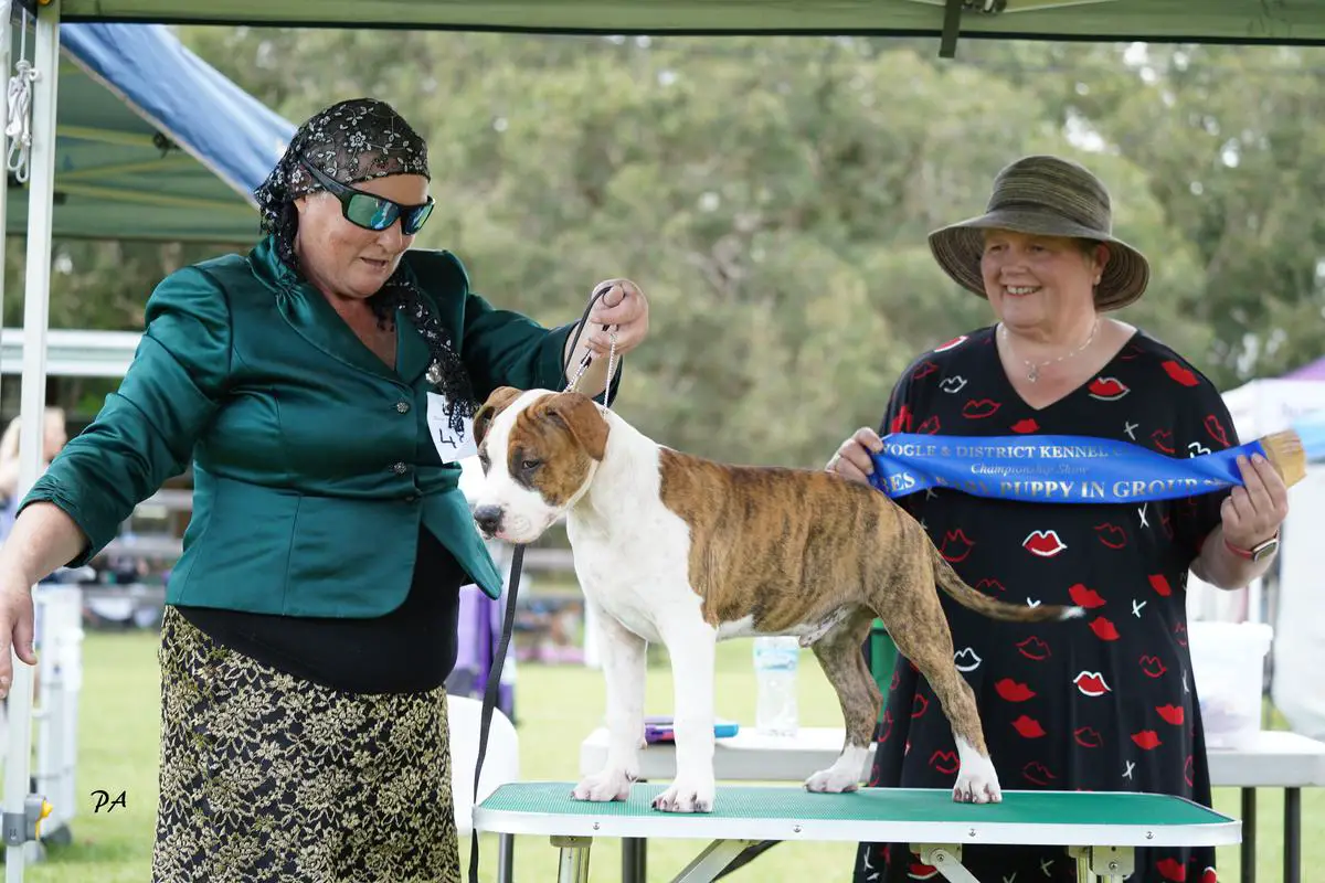 Jcozstyl Raise The Bar