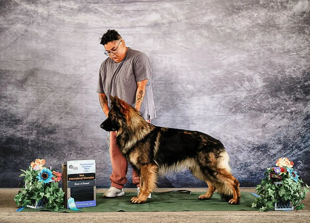 UKC CH IntCH Esteemed K9's Don't Kiss And Tell