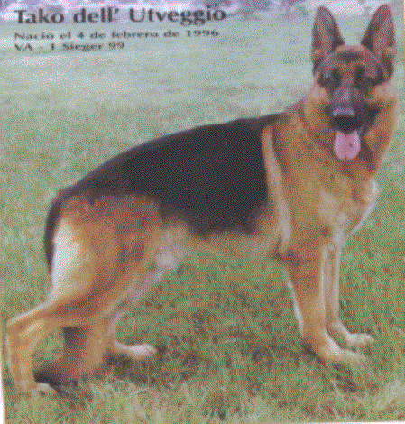 VA1( COSTA RICA) Tako dell Utveggio (1996)