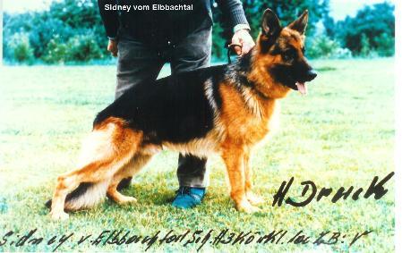 V Sidney vom Elbbachtal