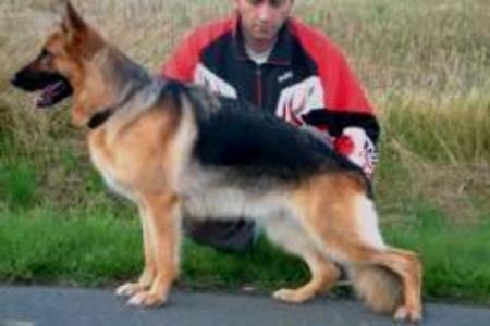 V1 Yose vom Haus Zieglmayer