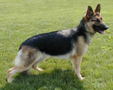 Francis von Michelesgarten