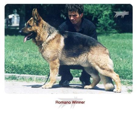 Romano Winner
