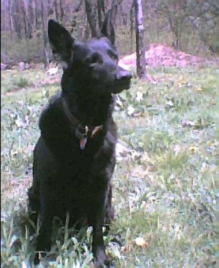 Mara vom Steinig Tal