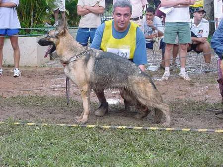 VA1 (BRASIL) Zezé do Vale das Arábias