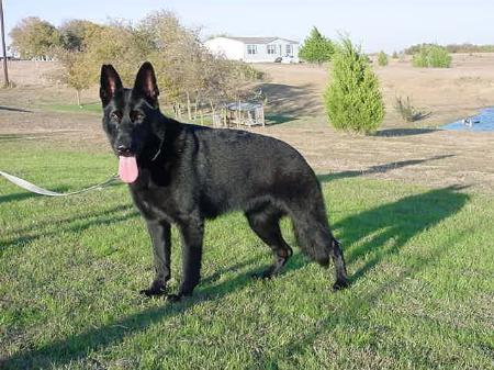 Joesee vom Germelhaus