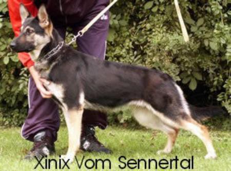 Xinix Vom Sennertal