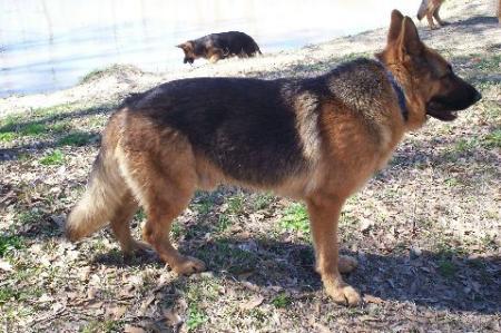 Dominik vom Vinaheus