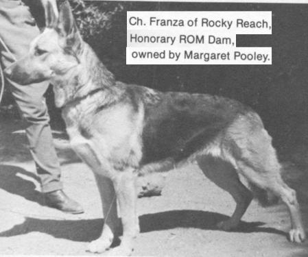 CH (US) Franza of Rocky Reach