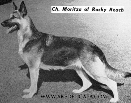CH Moritza of Rocky Reach