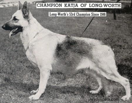 CH (US) Katja of Long Worth
