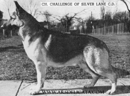 CH Challenge of Silver Lane