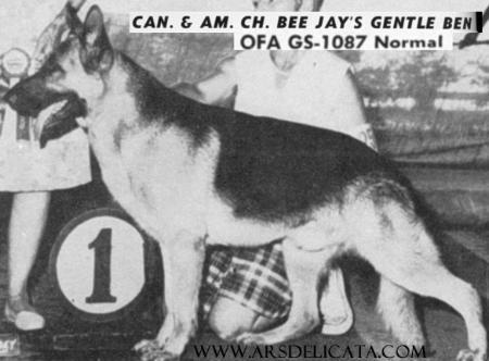 CH (US) Bee Jay's Gentle Ben