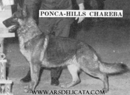 Ponca-Hills Chareba